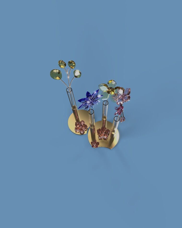 swarovski into the wild