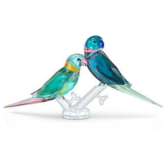 swarovski jungle beats parakeet couple fife fifer