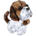 Puppy - Bernie the Saint Bernard