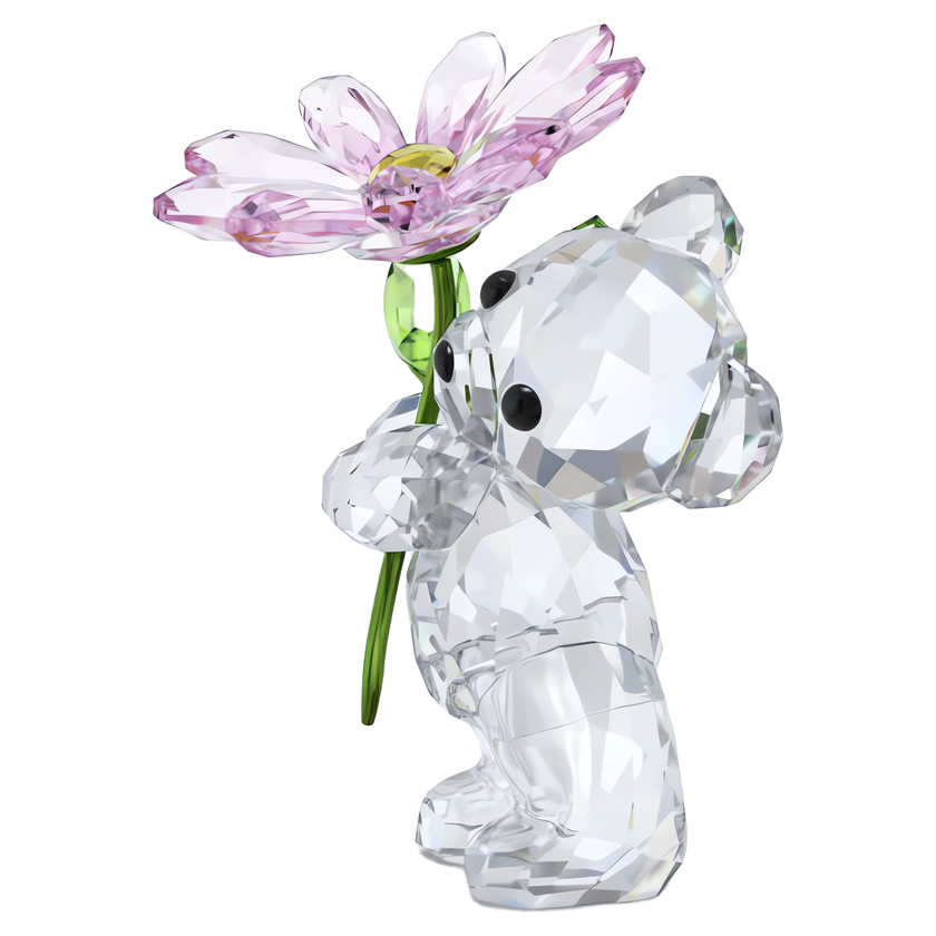 swarovski kris bear a daisy for you