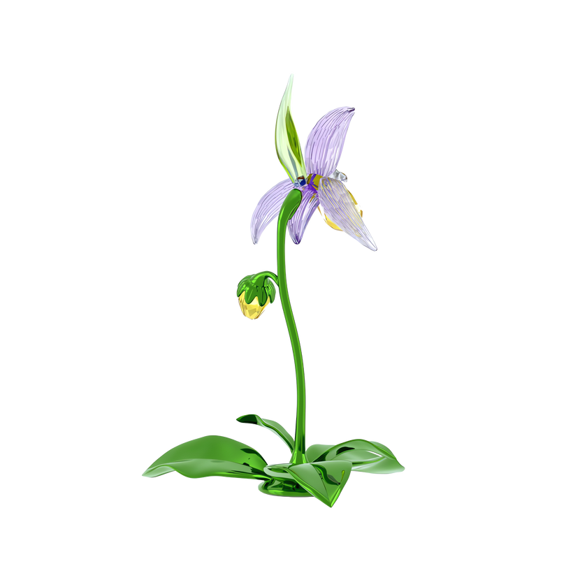 swarovski florere lady slipper orchid