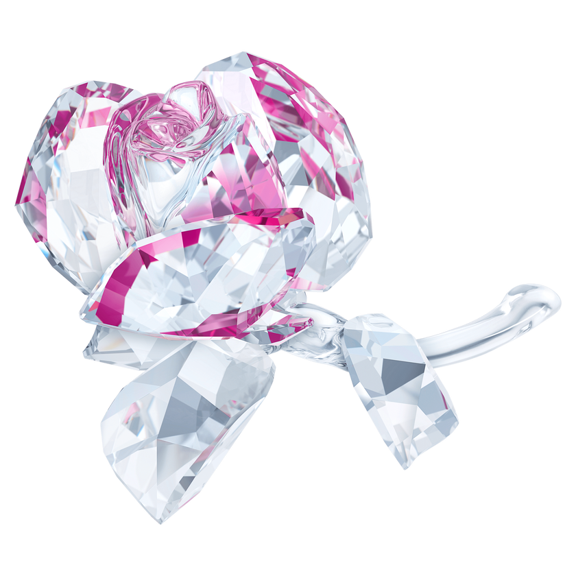 swarovski in the secret garden blossoming rose