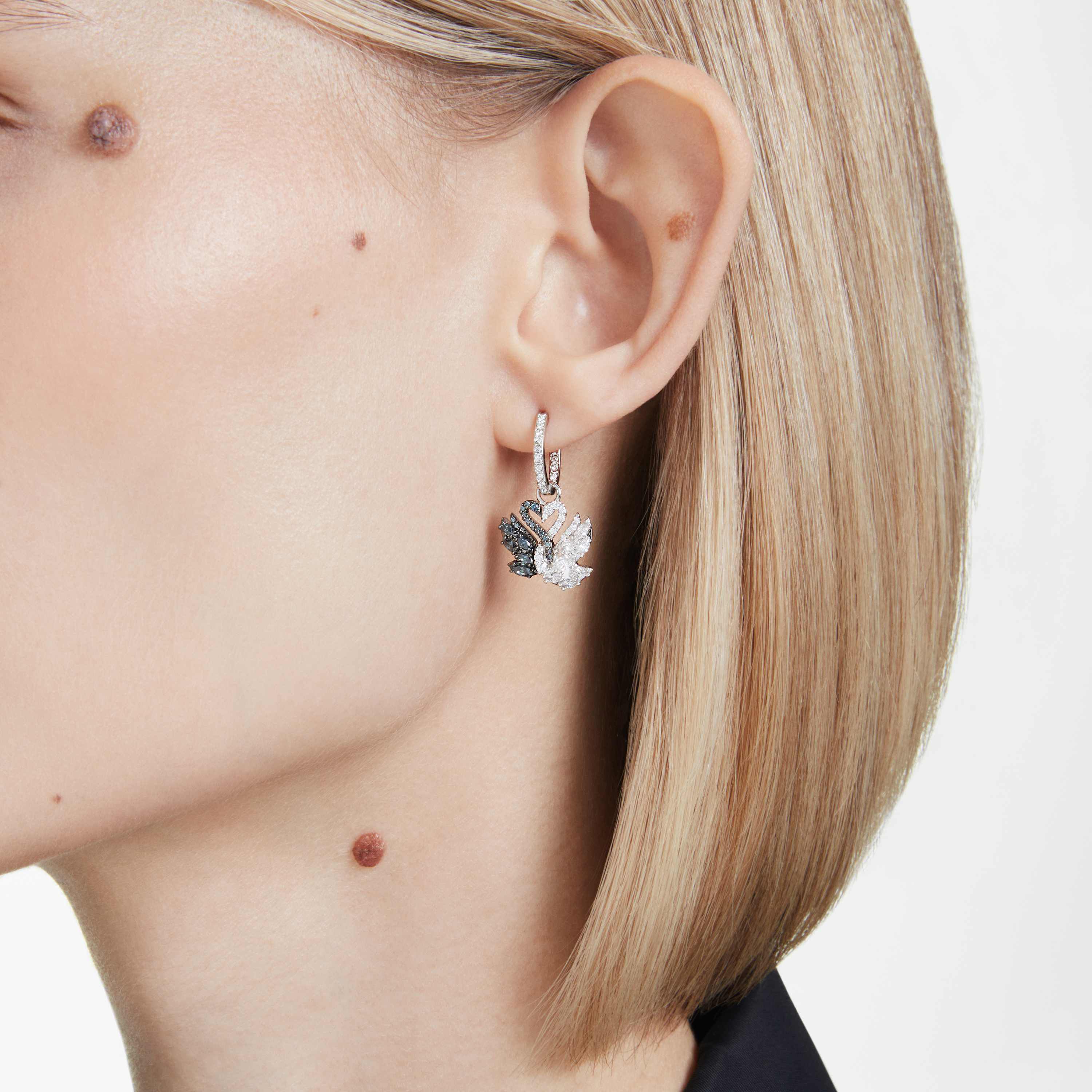 Buy Swarovski Swan drop earrings, Swan, Black, Rhodium plated