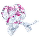 Blossoming Rose