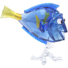 Dory