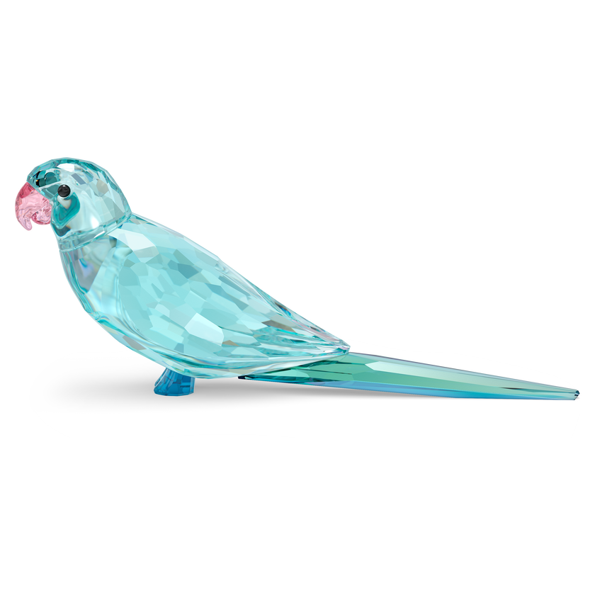 swarovski jungle beats blue parakeet paco