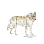 SCS Gray Wolf
