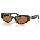 swarovski sunglasses  cat eye shape  sk6045  brown