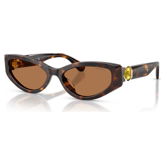 swarovski sunglasses  cat eye shape  sk6045  brown
