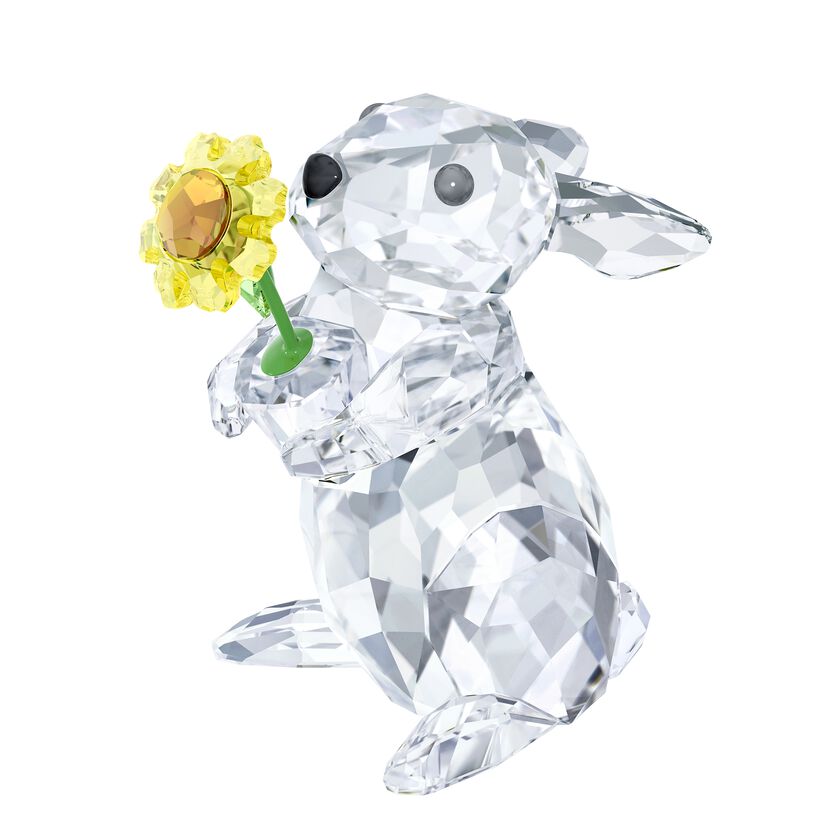 Rabbit with Sunflower