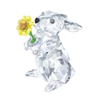 Rabbit with Sunflower