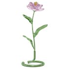 swarovski florere peony