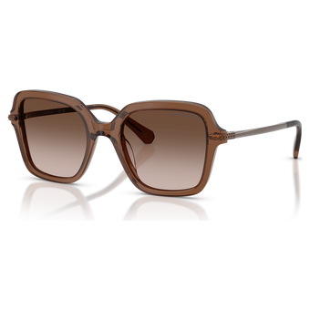 swarovski sunglasses  square shape  brown