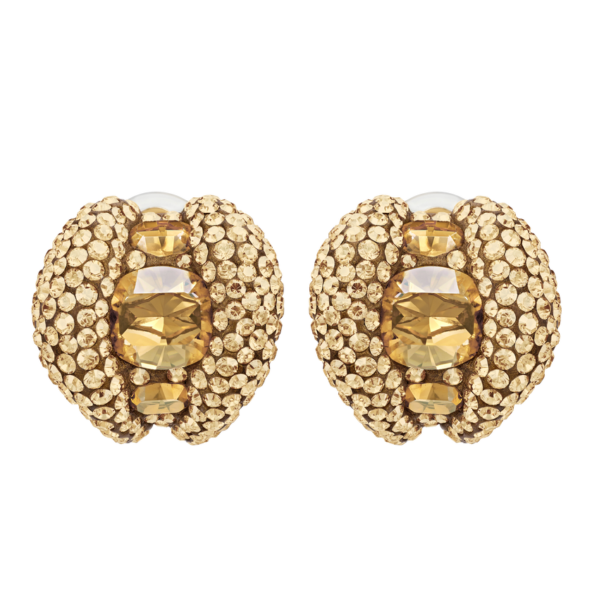 Tigris Stud Clip Earrings, Brown, Gold-tone plated