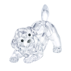 swarovski peaceful countryside labrador puppy