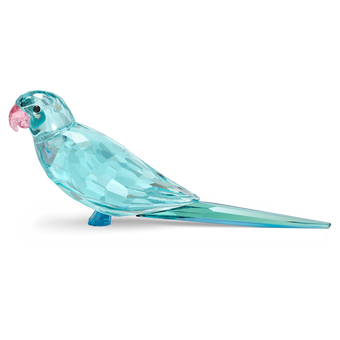 swarovski jungle beats blue parakeet paco