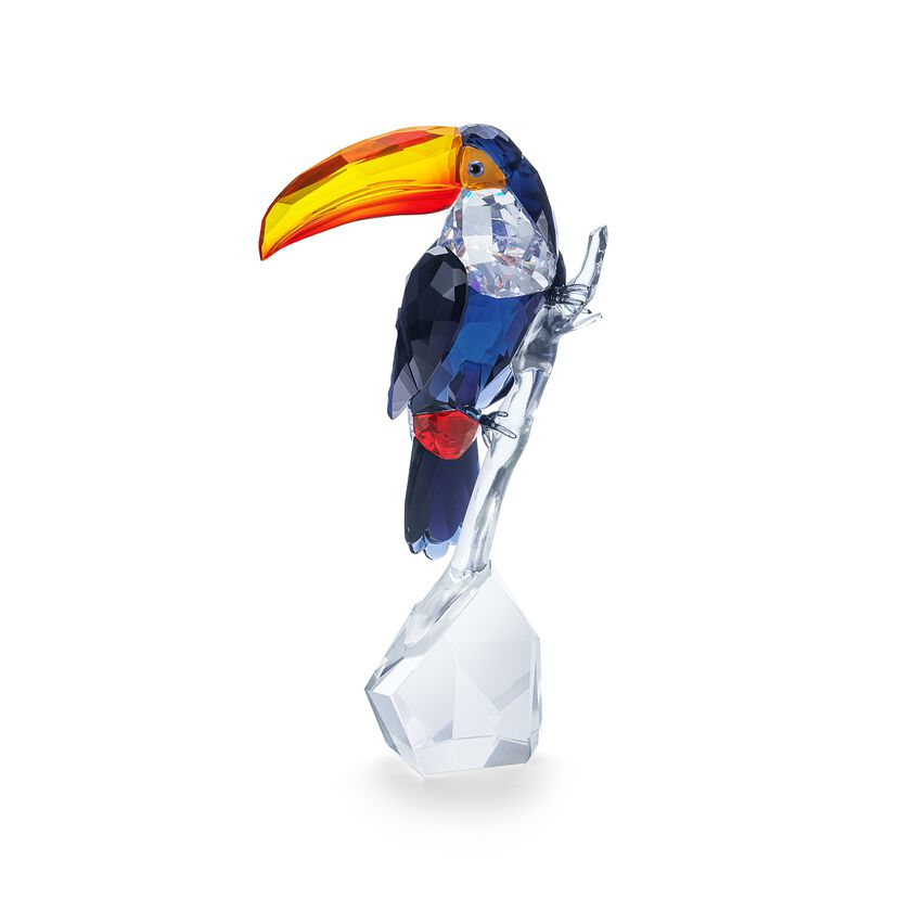 Toucan Signed by Designer