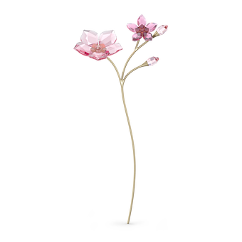 スワロフスキー『Garden Tales桜』 Amazon.co.jp: Swarovski Garden Tales 桜 ピンク ワンサイズ