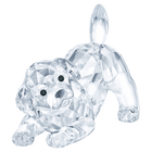 swarovski peaceful countryside labrador puppy