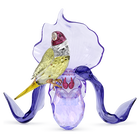 swarovski idyllia gouldian finch and orchid