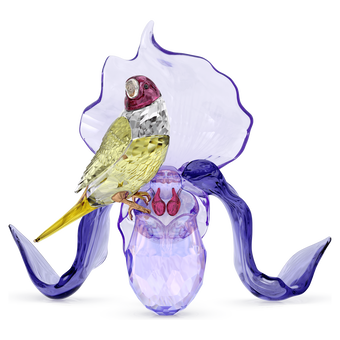 swarovski idyllia gouldian finch and orchid