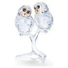 Owl Couple