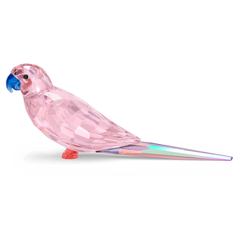 swarovski jungle beats pink parakeet cha cha