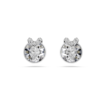 swarovski bella stud earrings  round cut  pav   white  rhodium plated