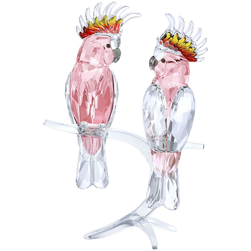 Pink Cockatoos