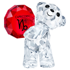 Kris Bear - Capricorn