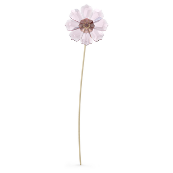 swarovski garden tales cosmos