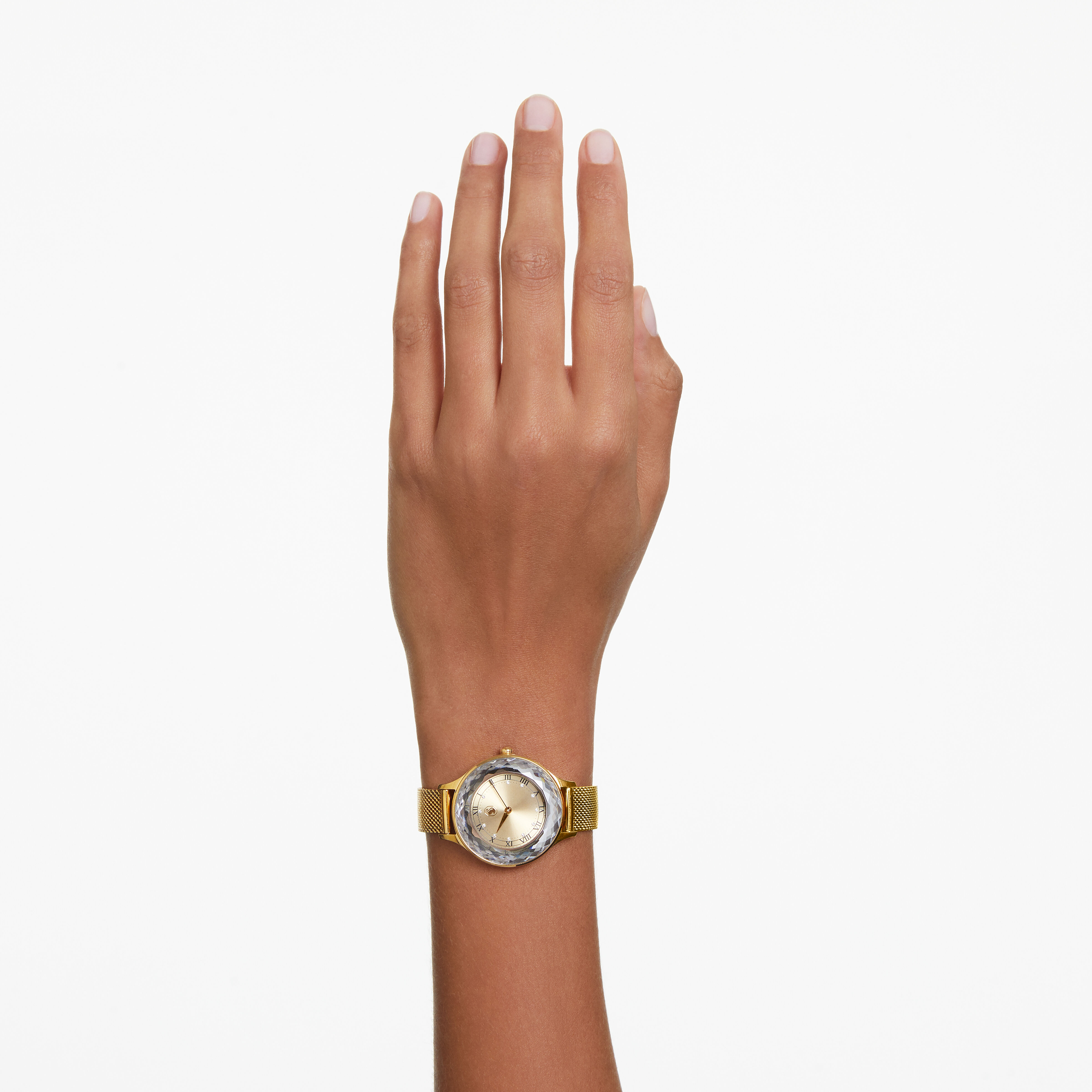 Octea nova swarovski sales