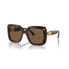 swarovski sunglasses oversized square shape sk6001 el sq brown