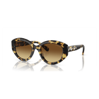 swarovski sunglasses cat eye shape sk6008el brown