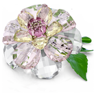 swarovski florere camellia