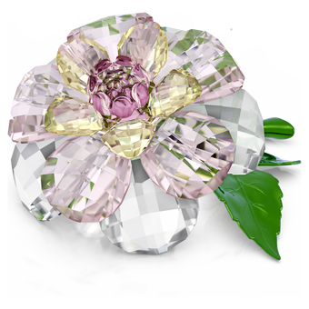 swarovski florere camellia